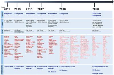 Genetic Analysis for Coronary Artery Disease Toward Diverse Populations